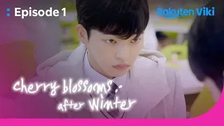 Cherry Blossoms After Winter - EP1 | Having Lunch Together | Korean Drama