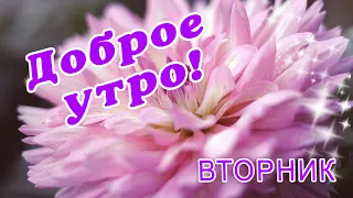 ВТОРНИК 🎺 ДОБРОГО УТРА / ДОБРОЕ УТРО / С ДОБРЫМ УТРОМ / ДОБРОГО УТРА ЛЮБИМОЙ / ПОЗИТИВ / ПОЗИТИВЧИК