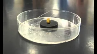 Superconductor Meissner effect