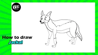 How to draw Jackal