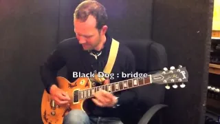 Bare Knuckle Pickups Official : Black Dog/ Riff Raff