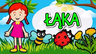 Wiosenna łąka | Film edukacyjny dla dzieci | Bajka Zosi