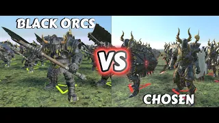 Who Will Win? Black Orcs or Chosen in Warhammer Total War 3!