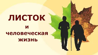 Листок и человеческая жизнь