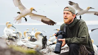 Photographing Gannets on Bass Rock 150,000 BIRDS | OM System | Scottish Seabird Centre (4K)