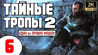 S.T.A.L.K.E.R. 🔥 ТАЙНЫЕ ТРОПЫ 2 🔥 СТРИМ (!)