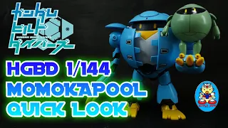 HGBD 1/144 MOMOKAPOOL : QUICK LOOK : GUNDAM BUILD DIVERS