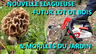 [EN MODE BUCHERON] FUTUR LOT, ELAGUEUSE & MORILLES 🪵🌲🪓🌳🪚