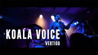 Koala Voice │ Vertigo LIVE @ Ortofest 2022