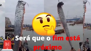 'Peixe do fim do mundo' gigante é pescado no Chile e deixa moradores apavorados