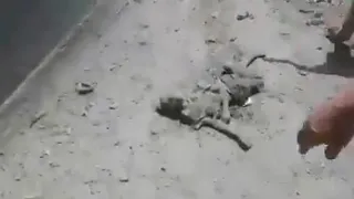 Путинские терористи в Сирии убевают мирных жителей и детей