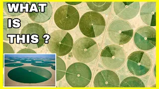 What Are these Circles in Sudia Arabia desert ?