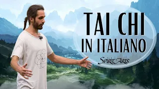 Tai Chi a casa - 3 ESERCIZI PER IL MATTINO (adatto ai principianti)