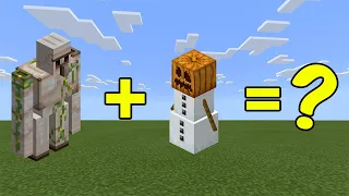 I Combined an iron Golem and a Snow Golem in Minecraft - Here's What Happened...