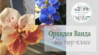 МК ОРХИДЕЯ Ванда из фоамирана своими руками / DIY Flowers handmade / Orhid Vanda Sanderiana