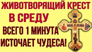 В СРЕДУ СЕЙЧАС ПОМОЛИСЬ СВЯТОМУ КРЕСТУ  Он избавит тебя от всех страданий