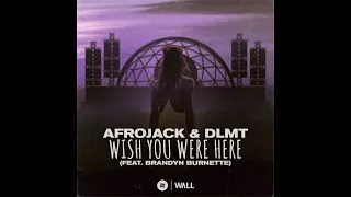 Afrojack & DLMT feat. Brandyn Burnette - Wish You Were Here (Extended Mix)