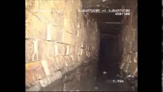 Sewer Creature