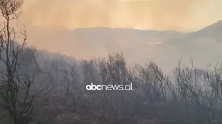 Vlorë/ Era favorizon flakët në fshatin Risili, dëmtohet një sipërfaqe e konsiderueshme me ullinj