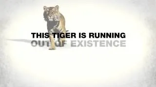 WWF Tiger