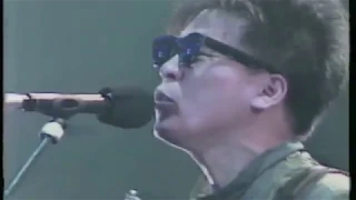 NOBODY LIVE, 1985, モノクロームの夏～プレジャー・シンドローム