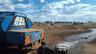 Man Delivers Thousands Of Gallons Of Water To Animals Suffering During Drought