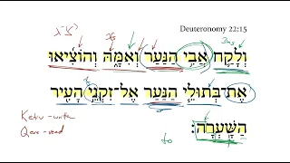 Deuteronomy 22:15