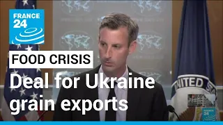 Deal for Ukraine grain exports due to be sealed in Istanbul • FRANCE 24 English