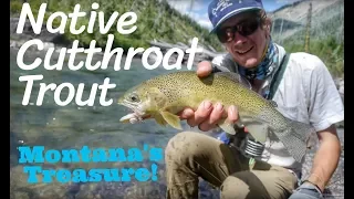 Montana Backcountry Fly Fishing