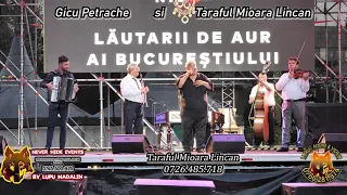 Gicu Petrache si Traful Mioara Lincan   Colaj de melodii lautaresti autentice