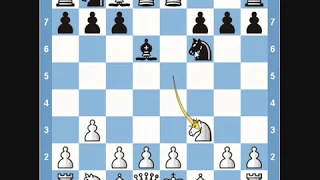 Chess Traps- Bird's Eye View