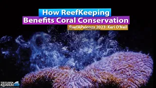 How the Reef keeping hobby benefits coral conservation - Reefapalooza Keri O'neil  Florida Aquarium