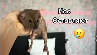 Уезжаем на месяц 🚗