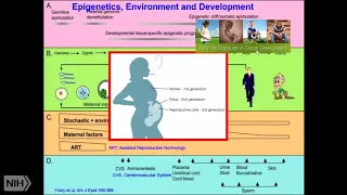 TRACO 2017: Epigenetics and Case reports