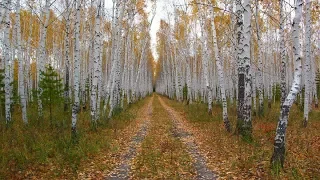 Танго-Осень, прозрачное утро...