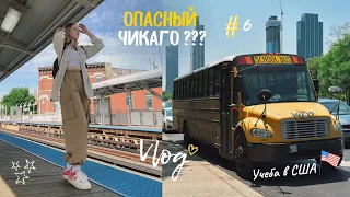 VLOG: Учеба в США, закупка в магазинаx, распаковка стабилизатора DJI