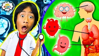 Learn about Human Body Parts for Kids | Ryan's World Educational Video