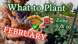 What to Plant in February for Zone 9 & 10 Gardeners