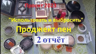 2 отчёт Проджект пена (project pan 2023). Использовать и выбросить 2023г. + фото