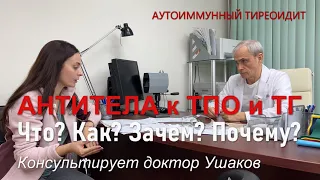 Аутоиммунный тиреоидит (АИТ). Значение Антител к ТПО и ТГ. Ответ на вопрос // Доктор Ушаков