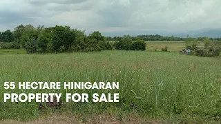 55 Hectare Hinigaran Lot For Sale