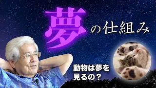 【公式】養老孟司 　睡眠の話② 〜脳活動からの夢分析〜