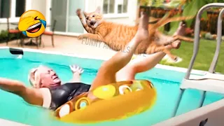 Best Funny Animal Videos 2022 😺 - Funniest Dogs And Cats Videos 😁😇