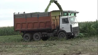 Заготовка силоса / CLAAS Jaguar 870/ КИРОВЕЦ К-744. МТЗ 3022. МАЗ-5516