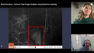 Camera Trap Image Analysis at the Chinko Nature Reserve  (Bioinformatics)