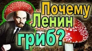 Почему Ленин - гриб?