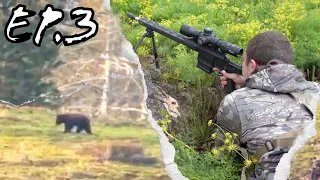 SPOT AND STALK BEAR HUNTING WITH KENDALL GRAY - ICON TOUR "SPRING BEAR" EP. 3