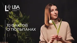 ПРАВИЛА РАБОТЫ С ТЮЛЬПАНАМИ | СОВЕТЫ ОТ LBA