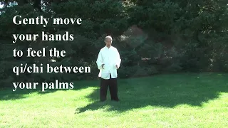 Tai Chi Qigong Shibashi Set 1 - by Master Wing Cheung