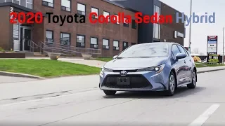 2020 Toyota Corolla Hybrid Review - LE with a Battery? [4K]